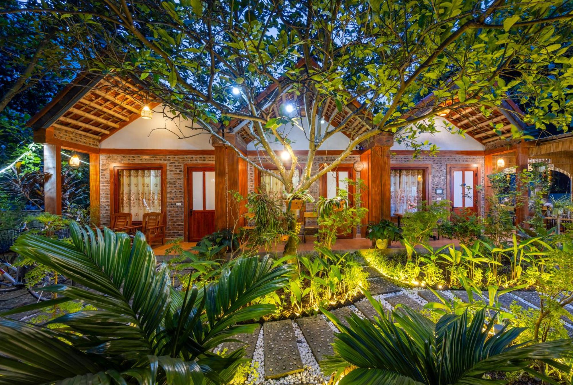 Tam Coc Moonlight Bungalow Van Lam Ngoại thất bức ảnh