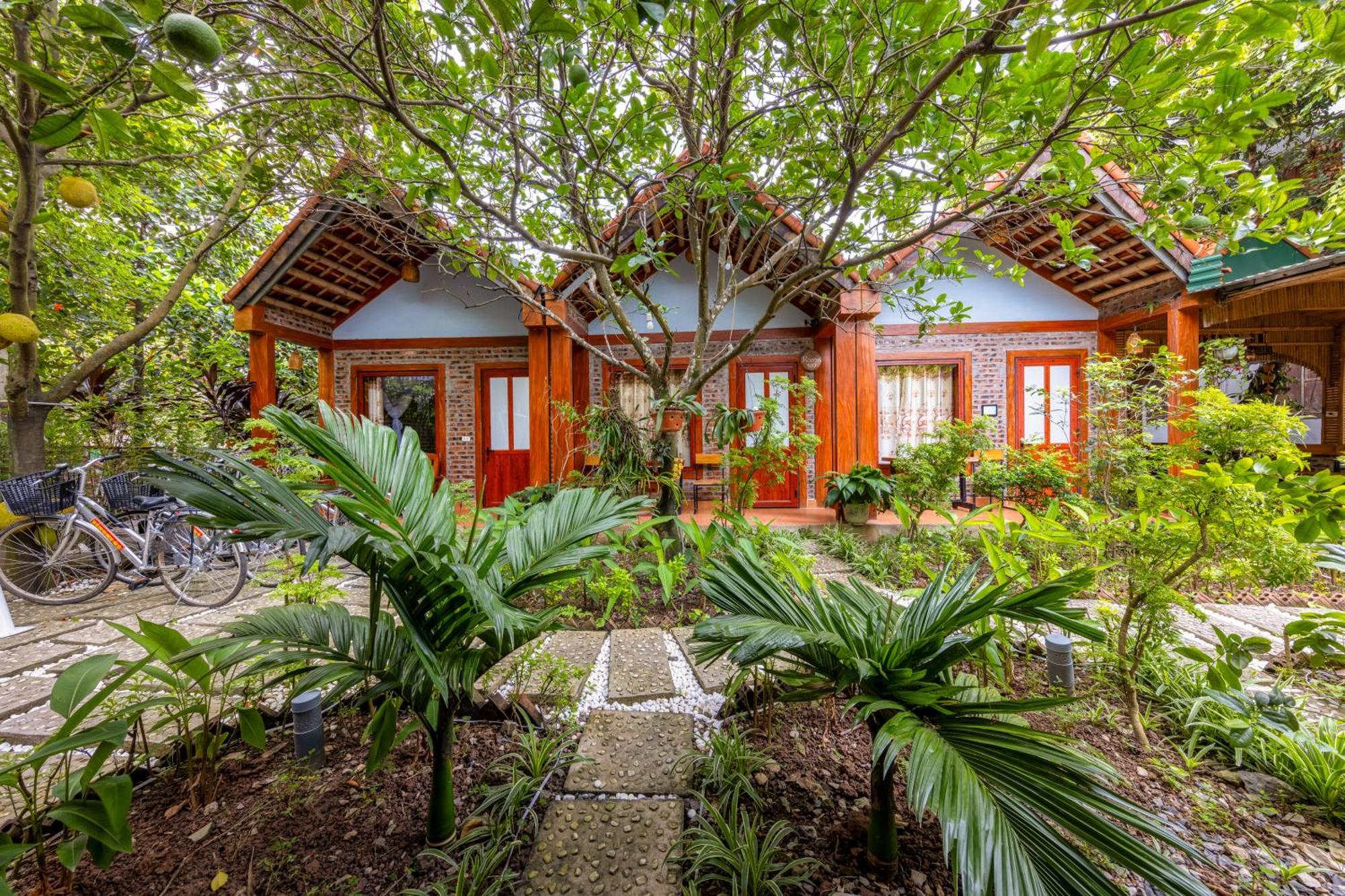 Tam Coc Moonlight Bungalow Van Lam Ngoại thất bức ảnh